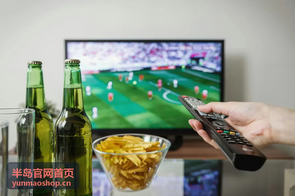 半岛官网首页行业解决方案参考