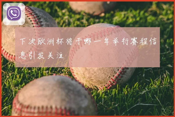 下次欧洲杯将于哪一年举行赛程信息引发关注